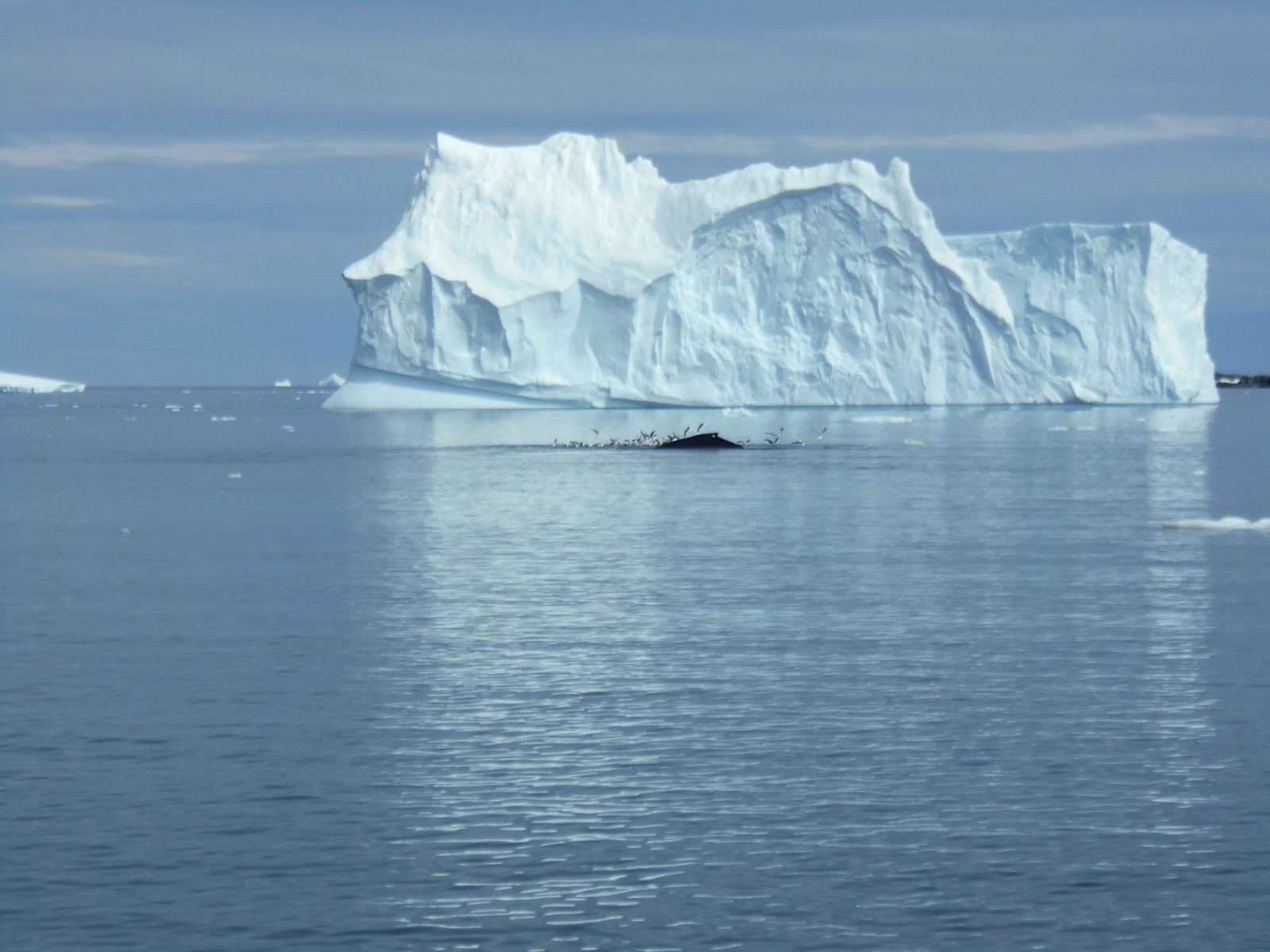 Drake Passage