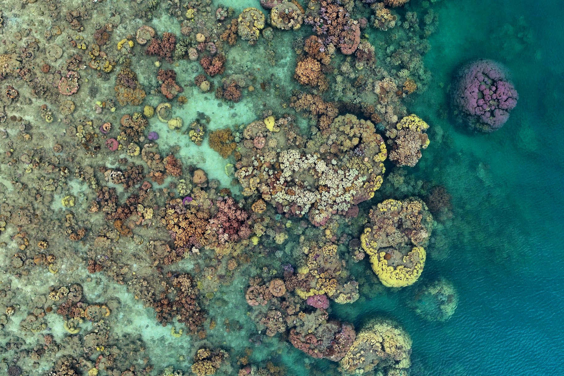 Great Barrier Reef