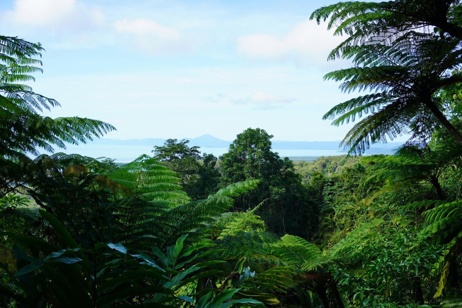 Australia — imagine 7
