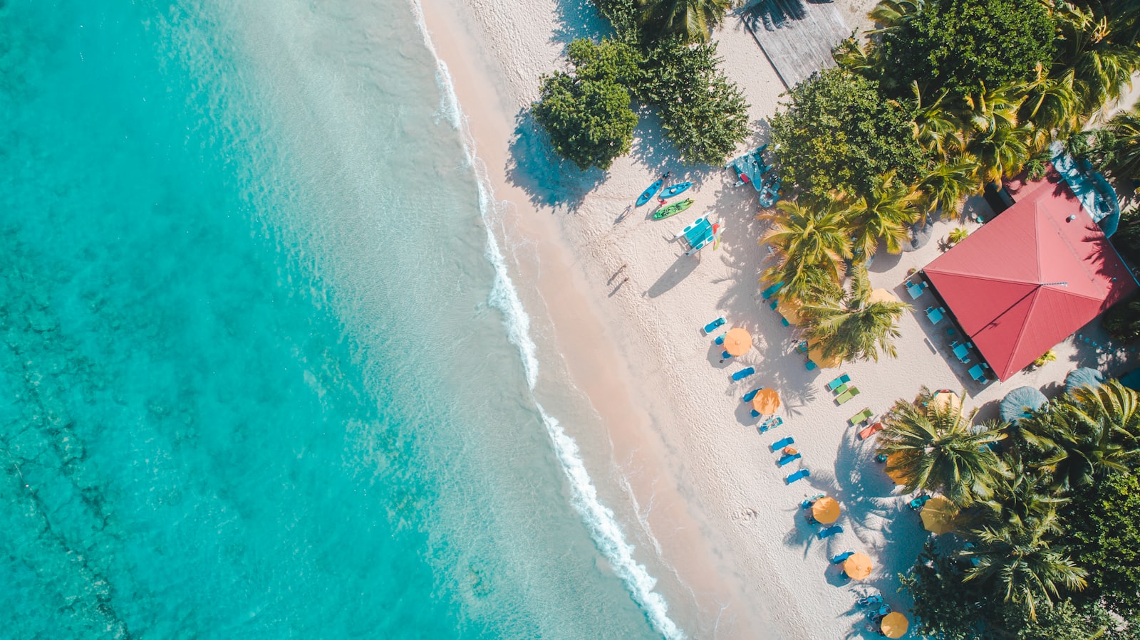 Caraibe