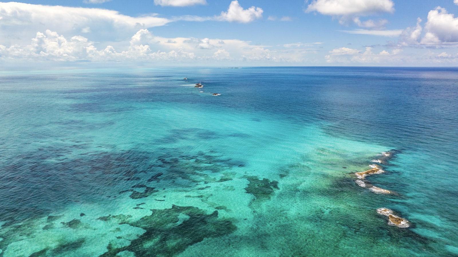 Snorkelling