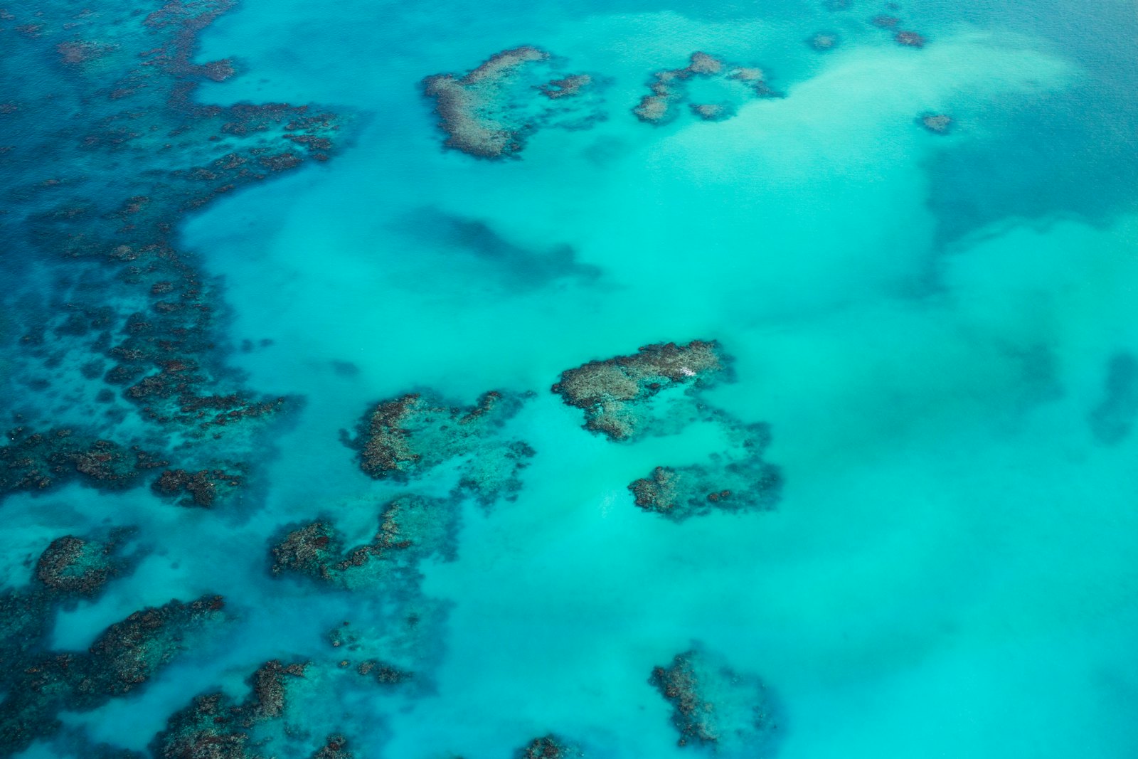 Caraibe — imagine 4