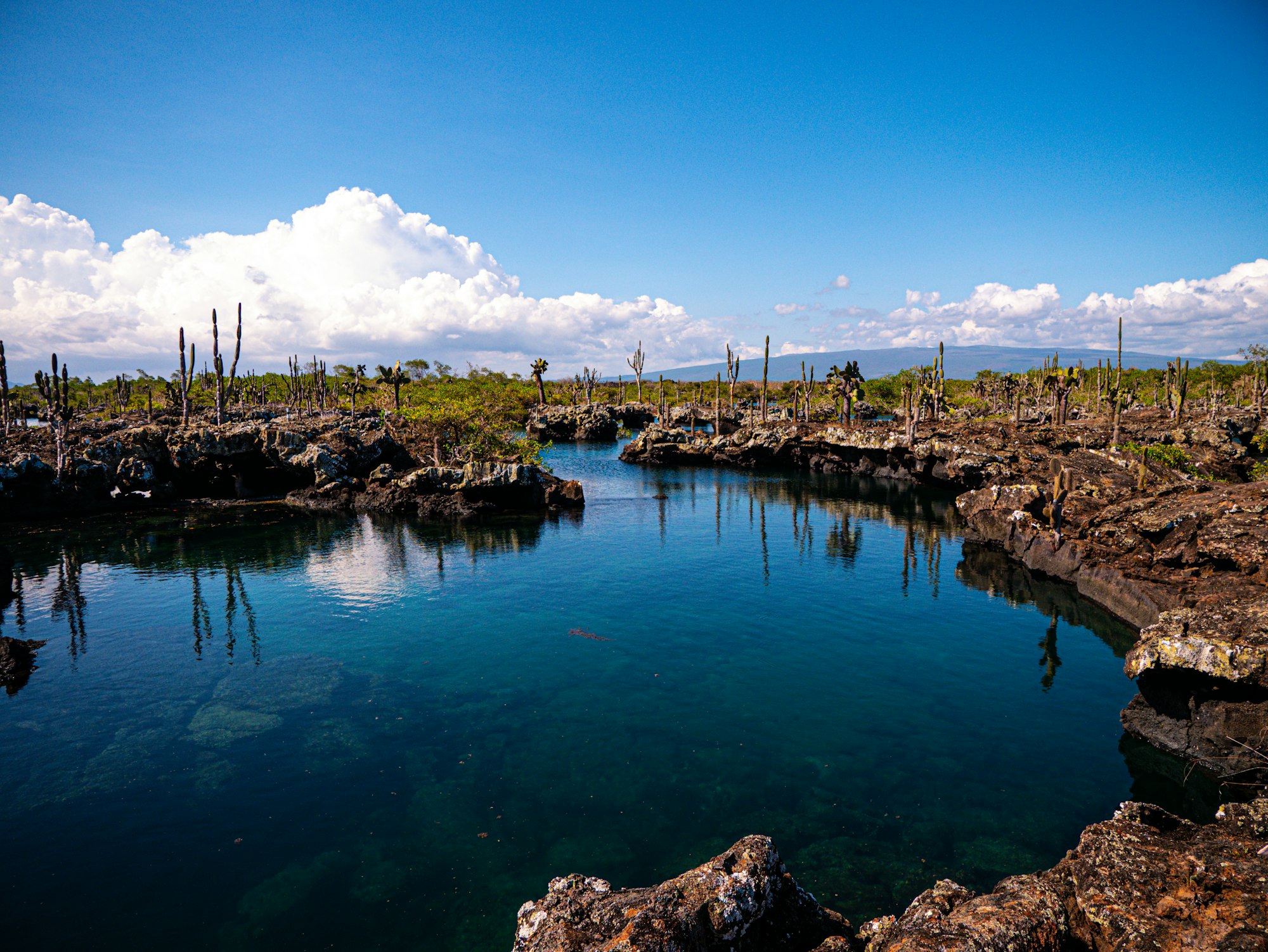 Insula Isabela