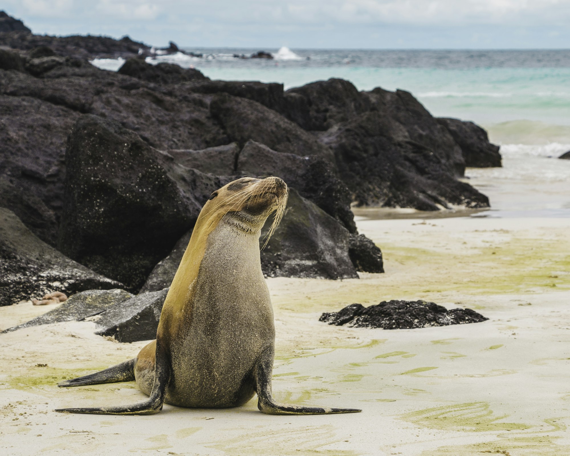 Ecuador & Galapagos — imagine 1