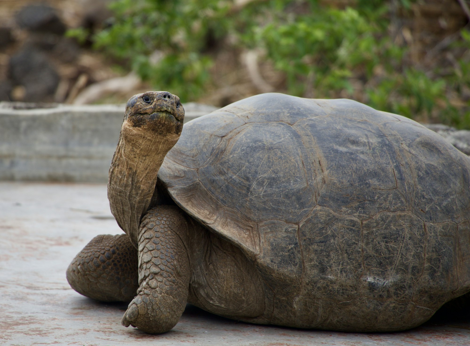 Ecuador & Galapagos — imagine 2