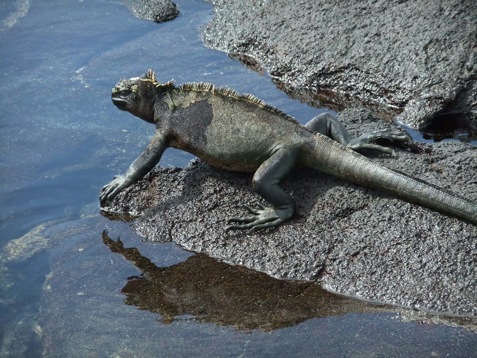 Ecuador & Galapagos — imagine 4
