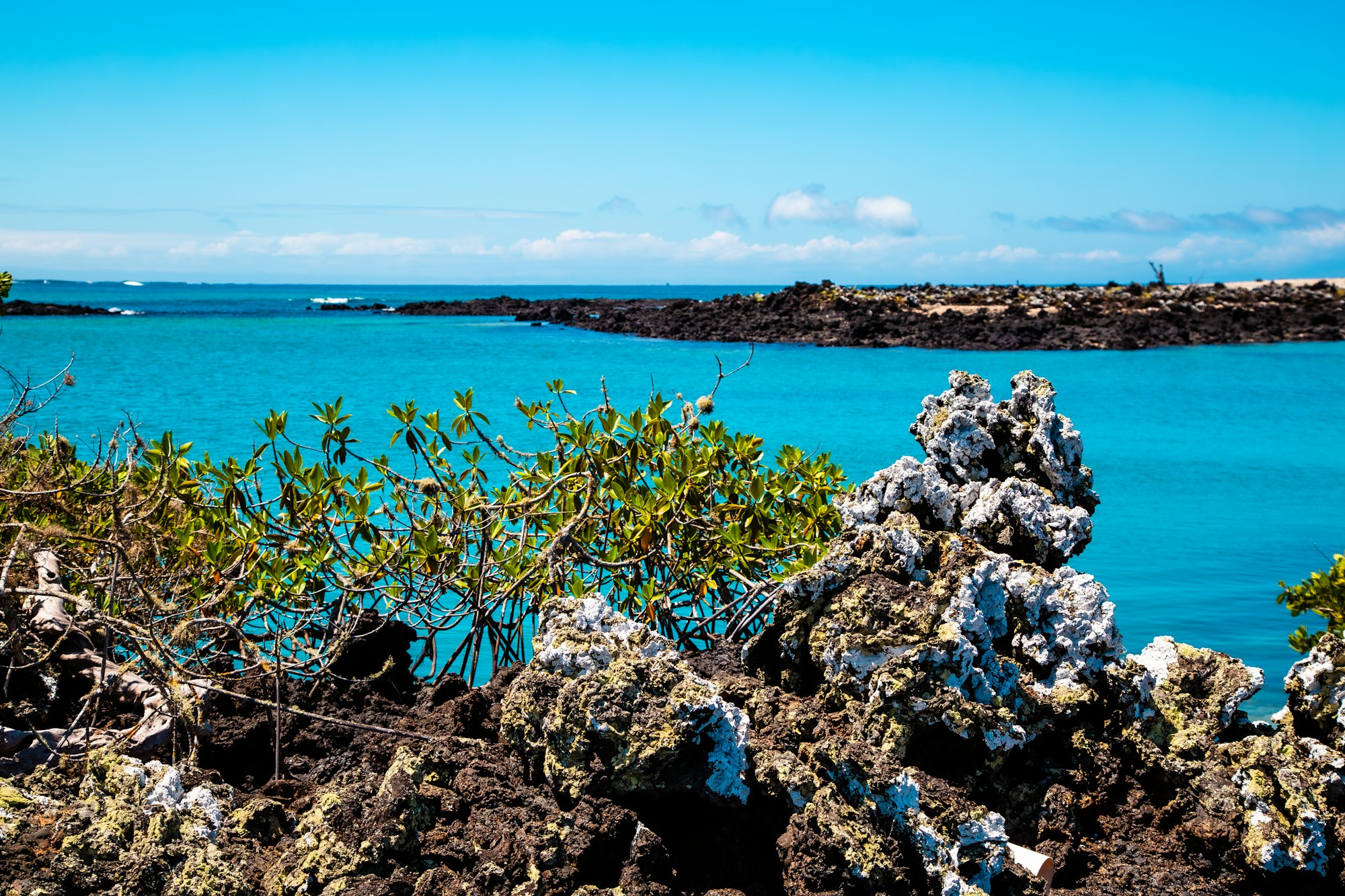 Ecuador & Galapagos — imagine 5