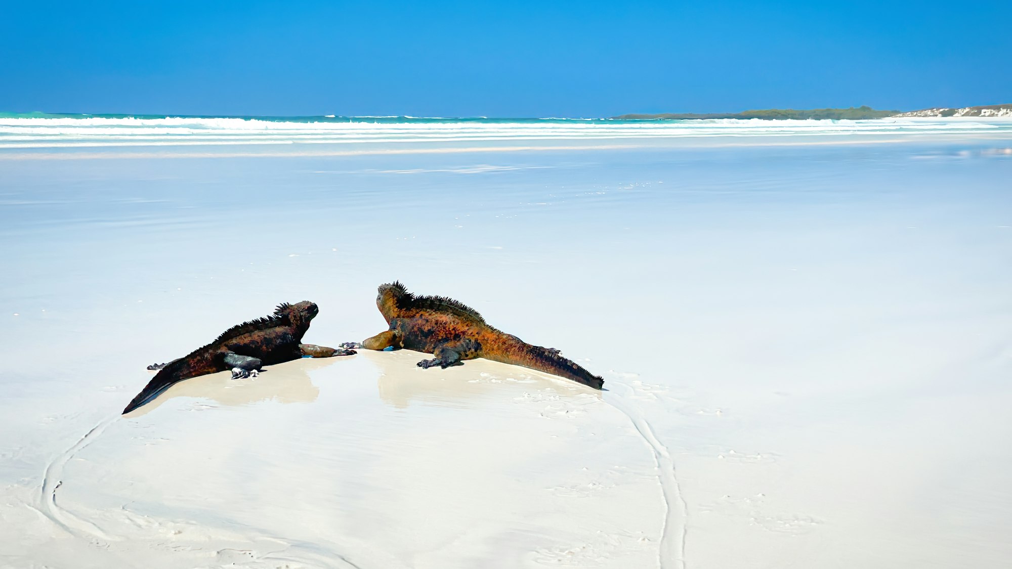 Ecuador & Galapagos — imagine 6