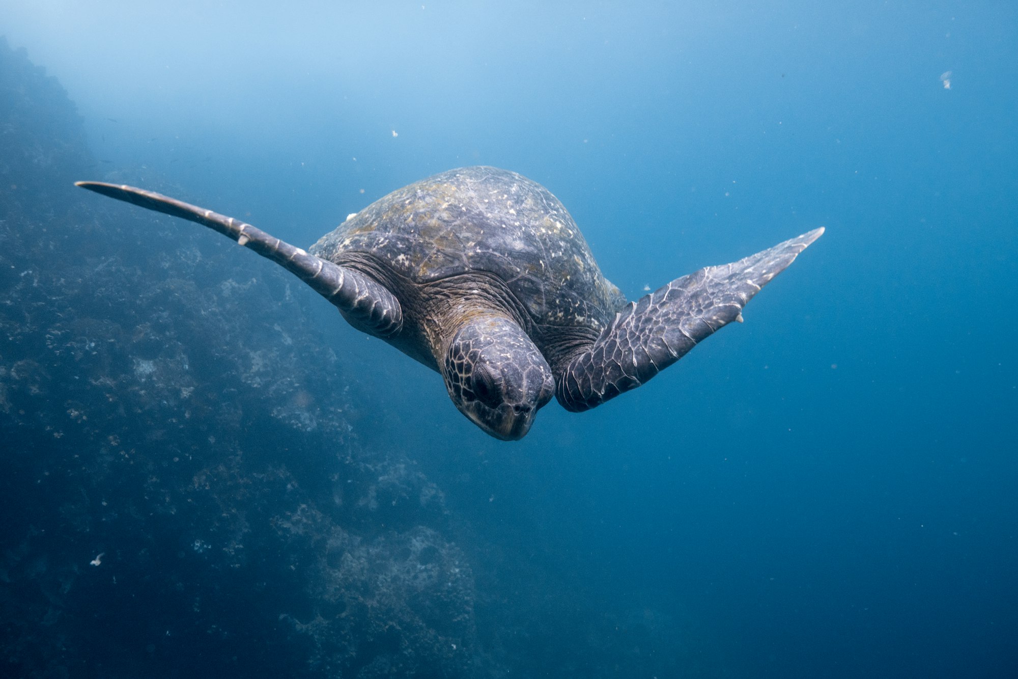 Ecuador & Galapagos — imagine 8
