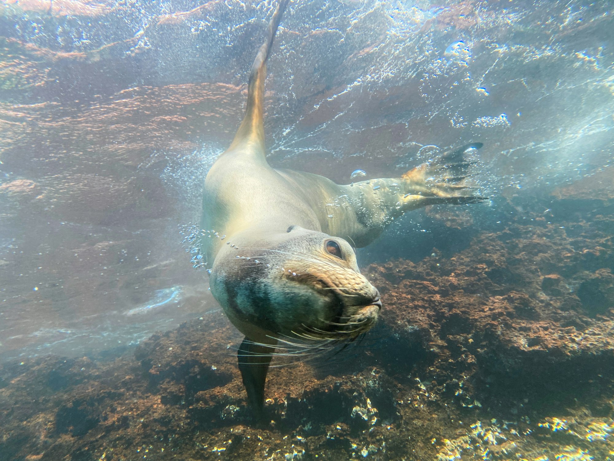 Ecuador & Galapagos — imagine 9