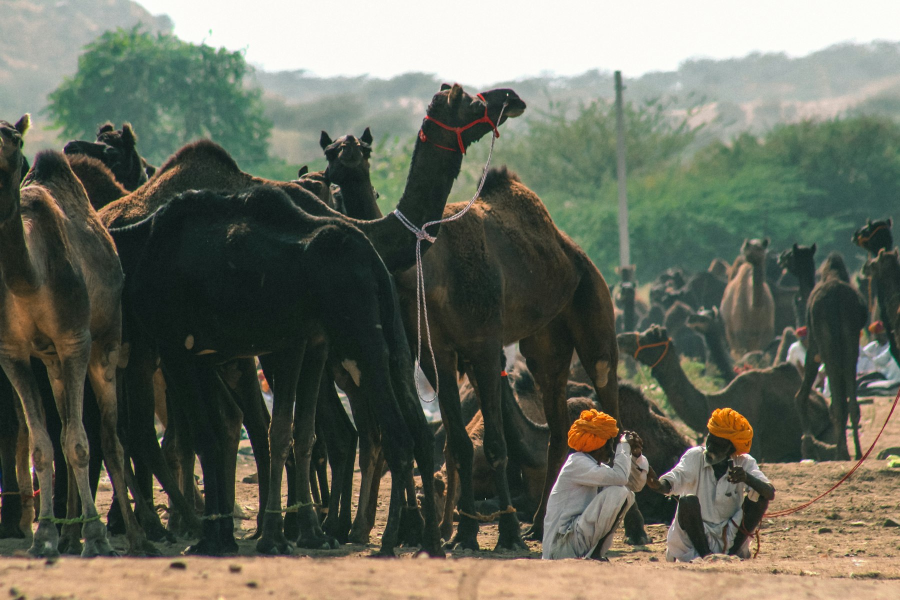 India — imagine 7