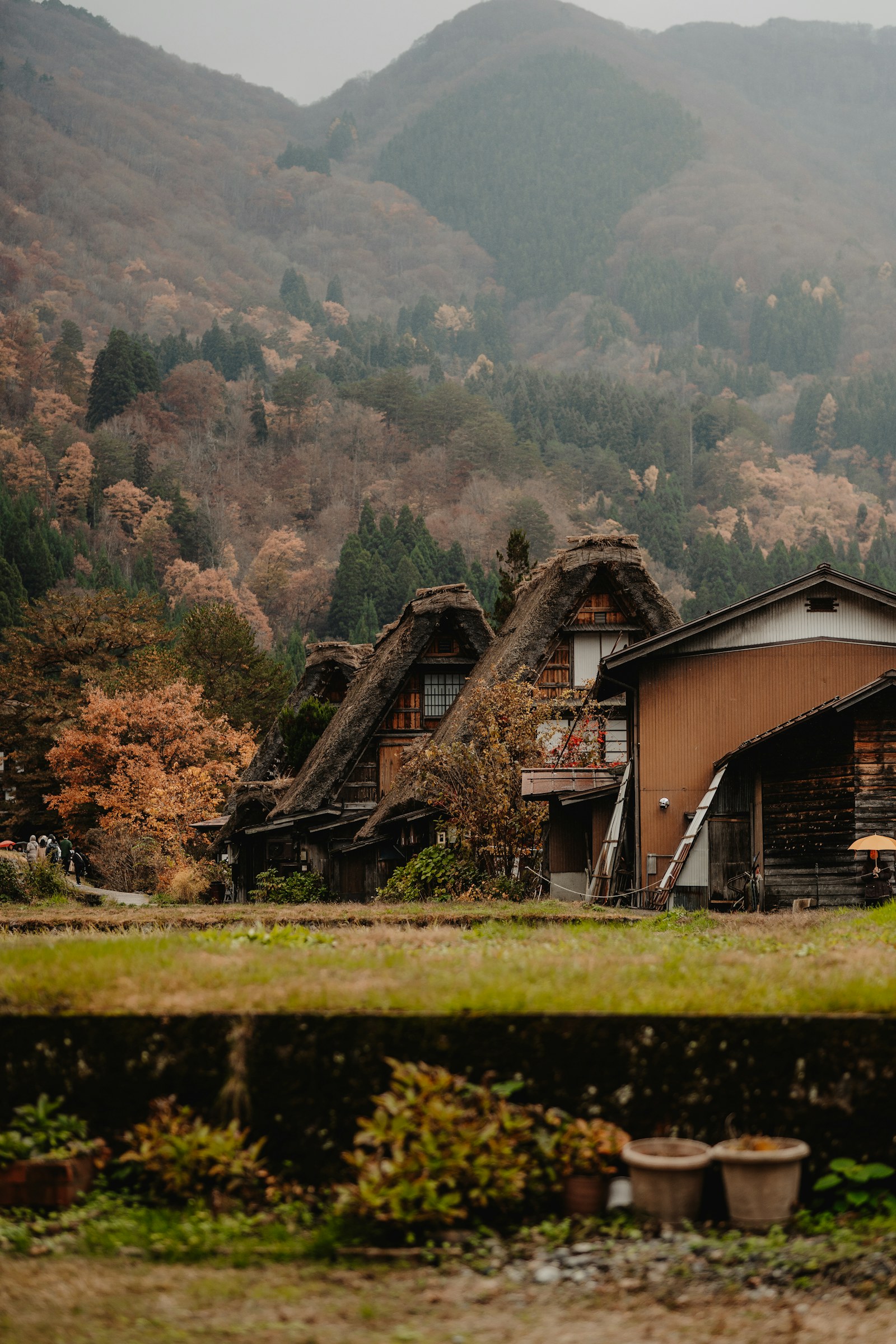 Japanese countryside