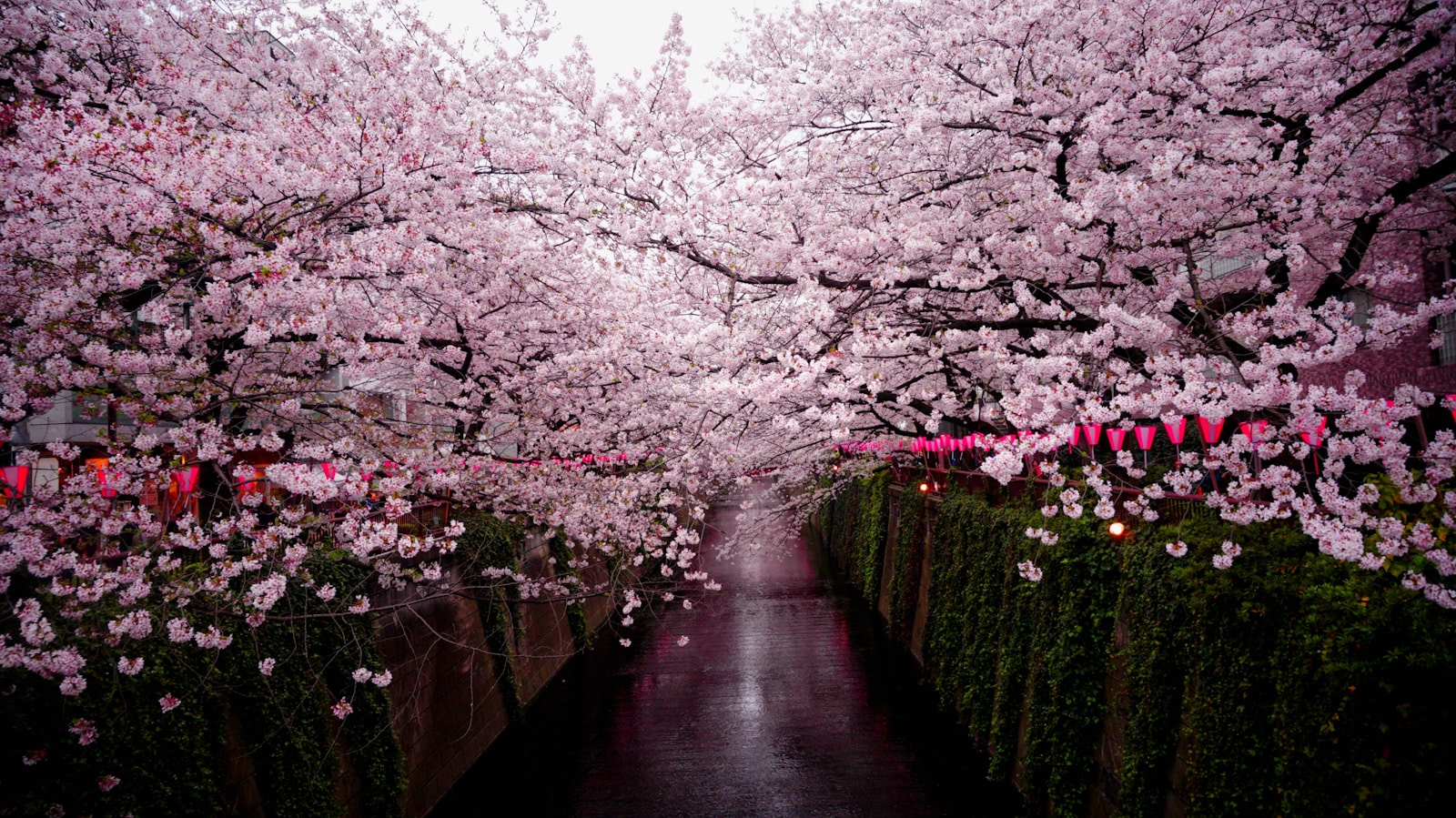 Japonia — imagine 7
