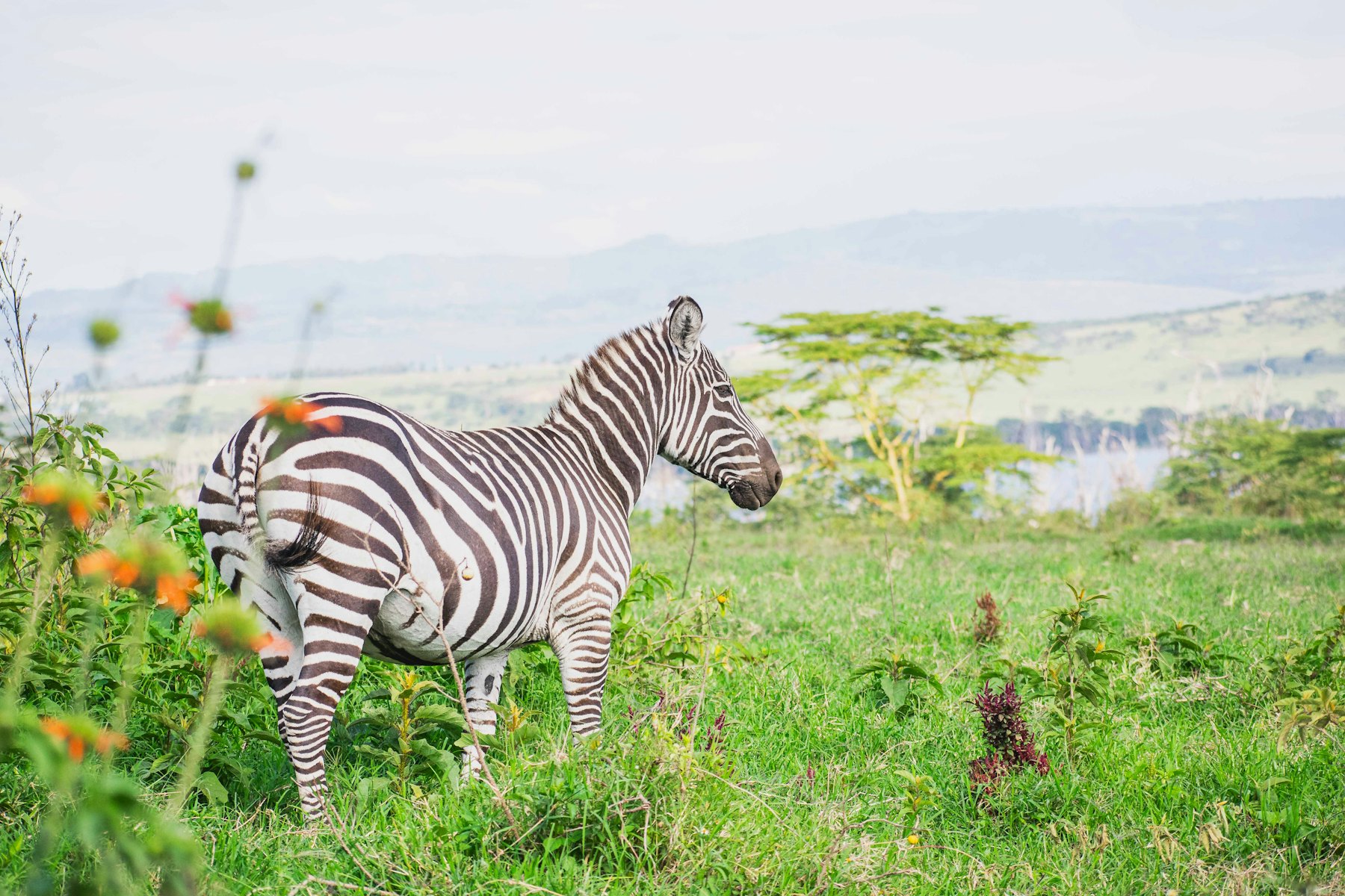 Kenya — imagine 10