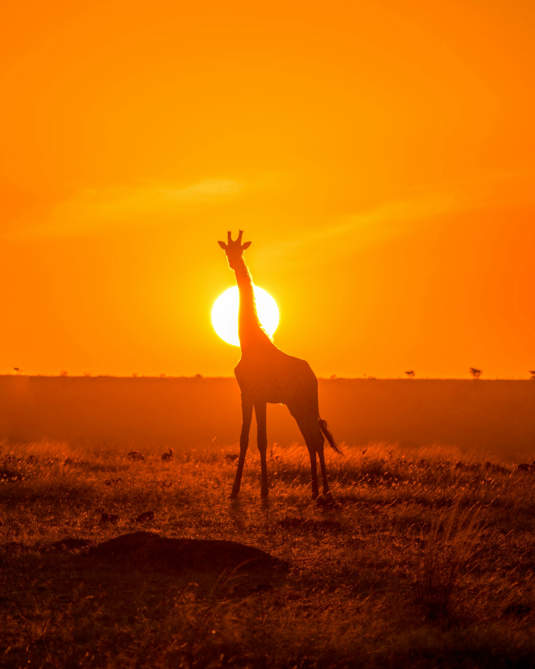 Kenya — imagine 3