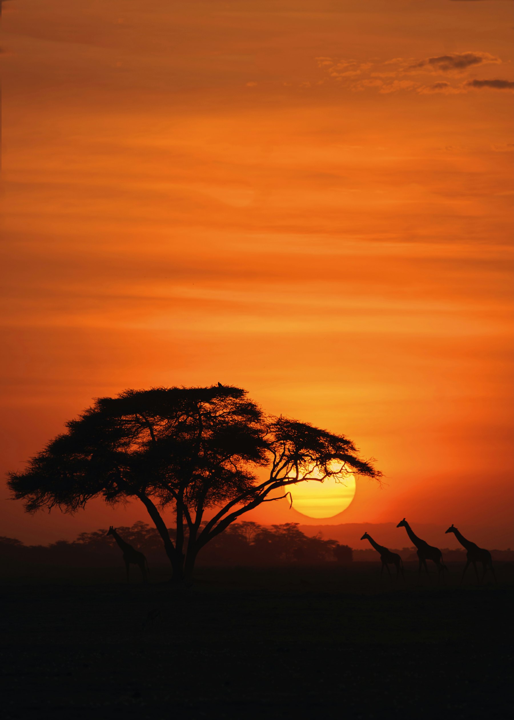 Kenya — imagine 6