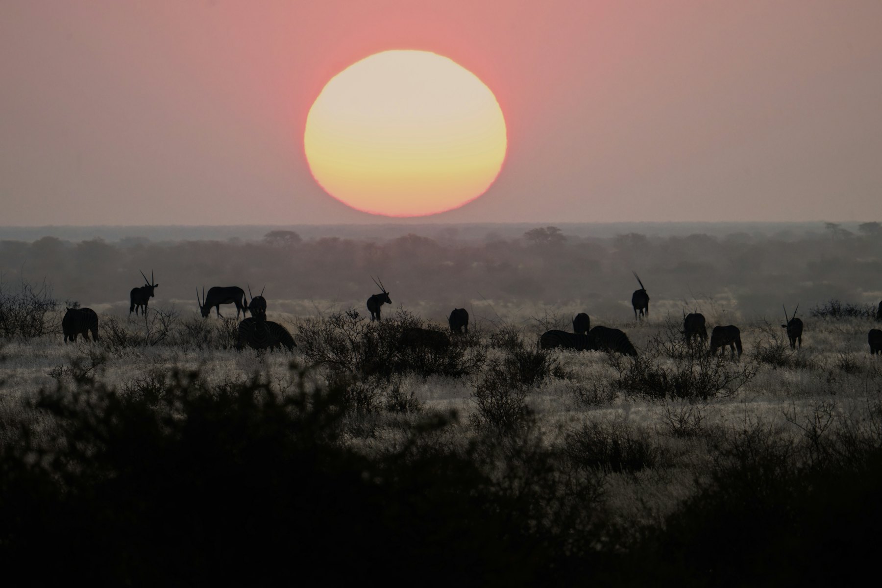 Kenya — imagine 7