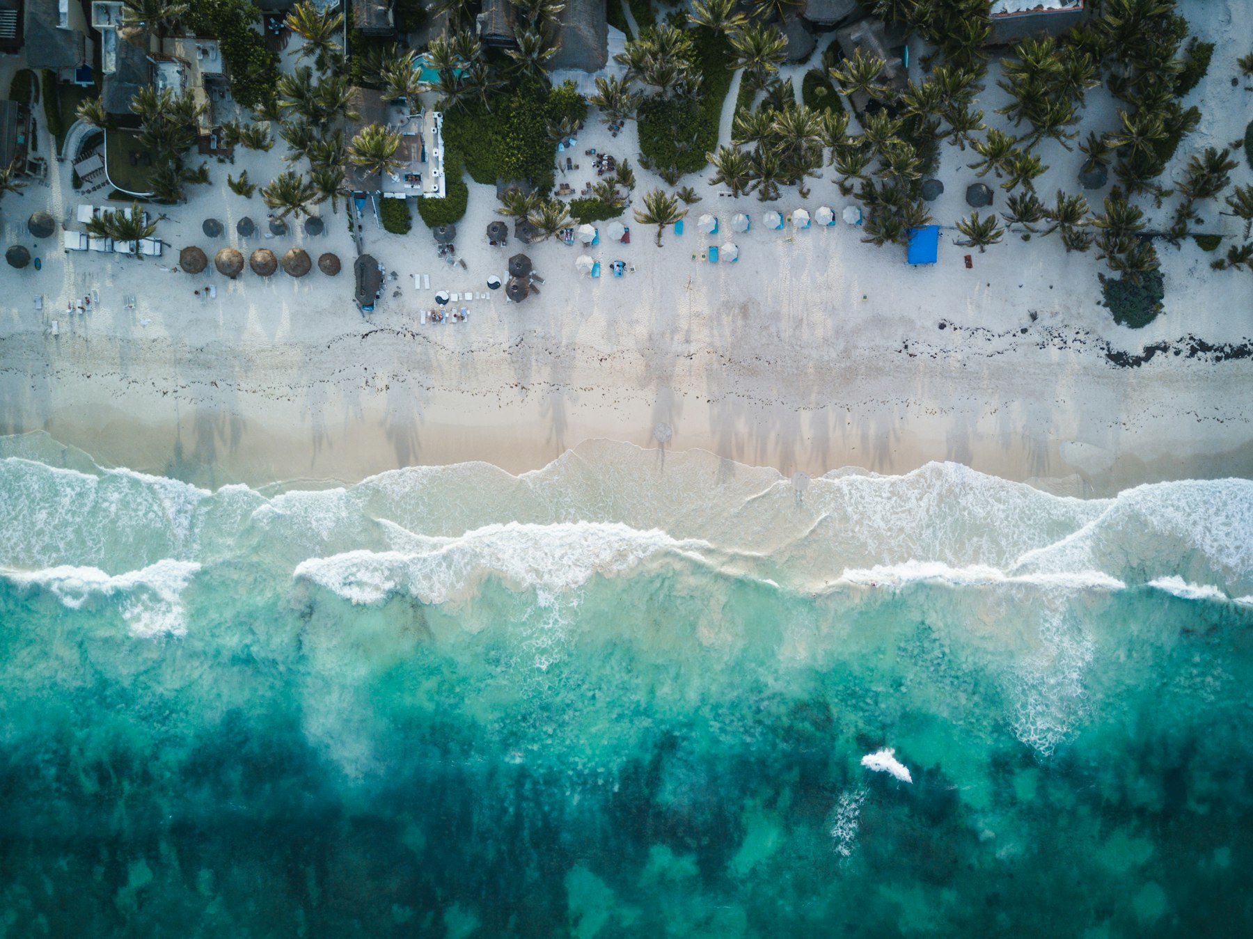 Coasta Caraibilor