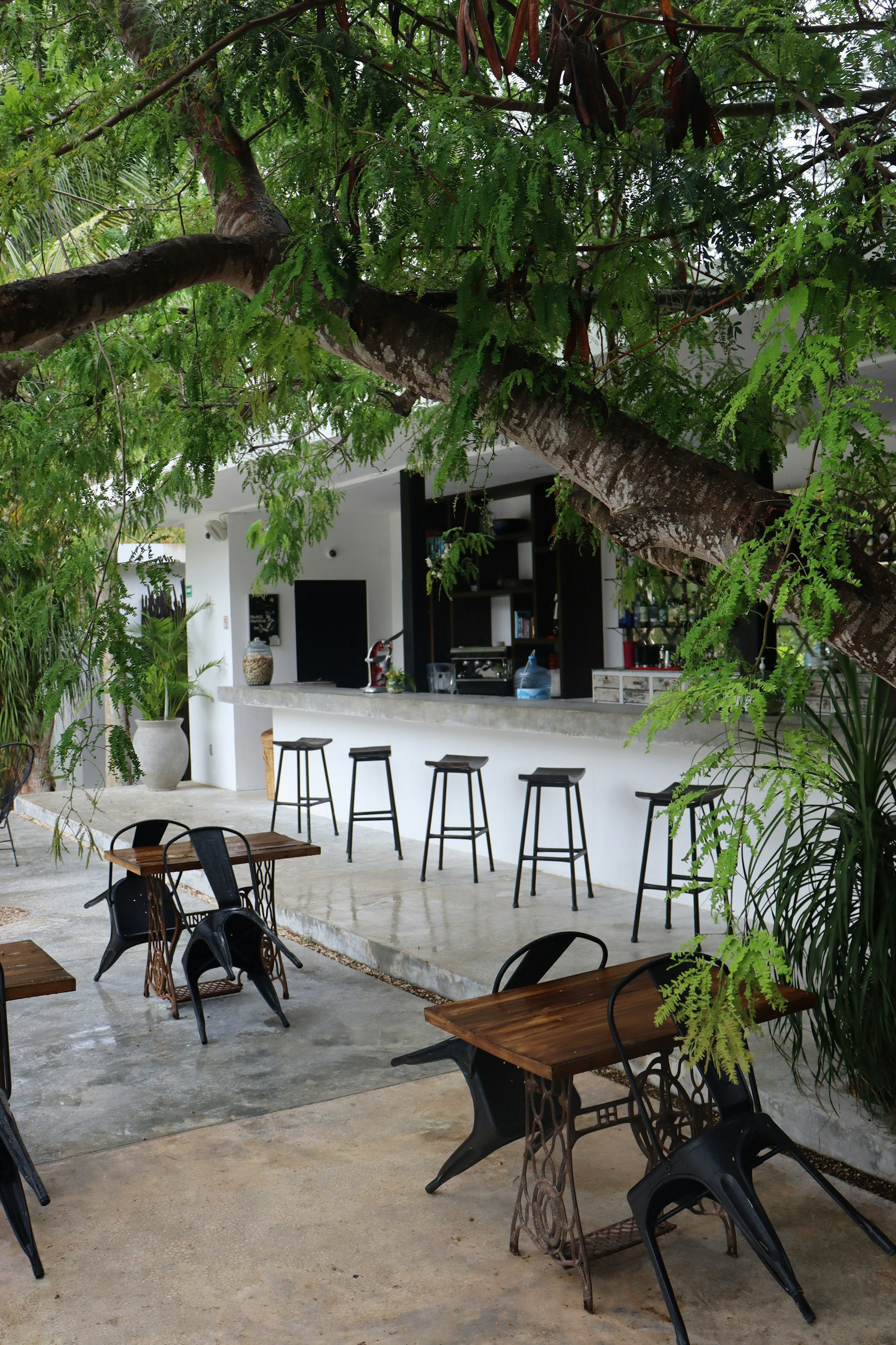 Boutique urban