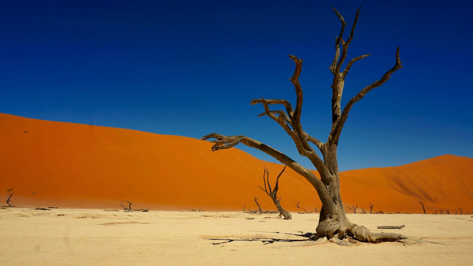Sossusvlei & Deadvlei