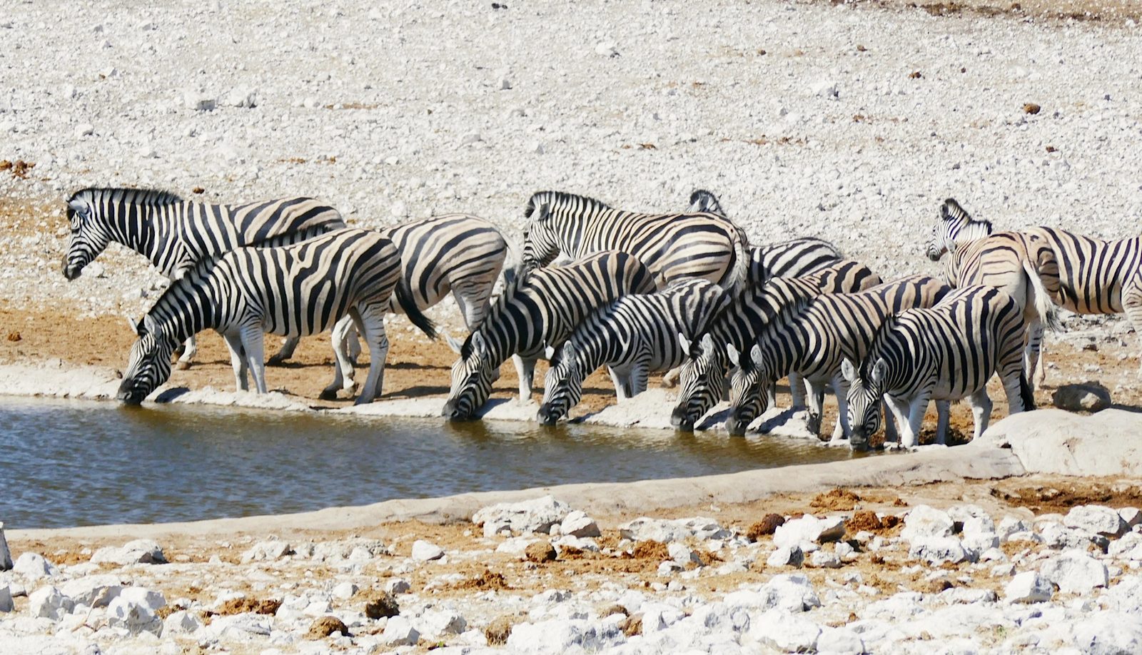 Namibia — imagine 2