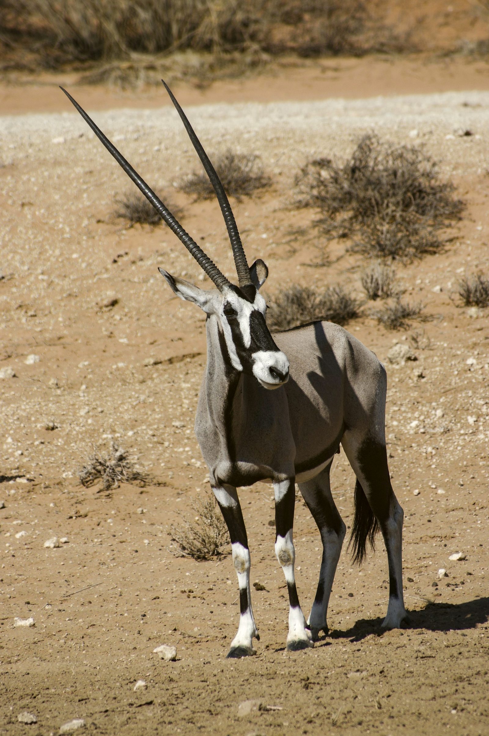 Namibia — imagine 3
