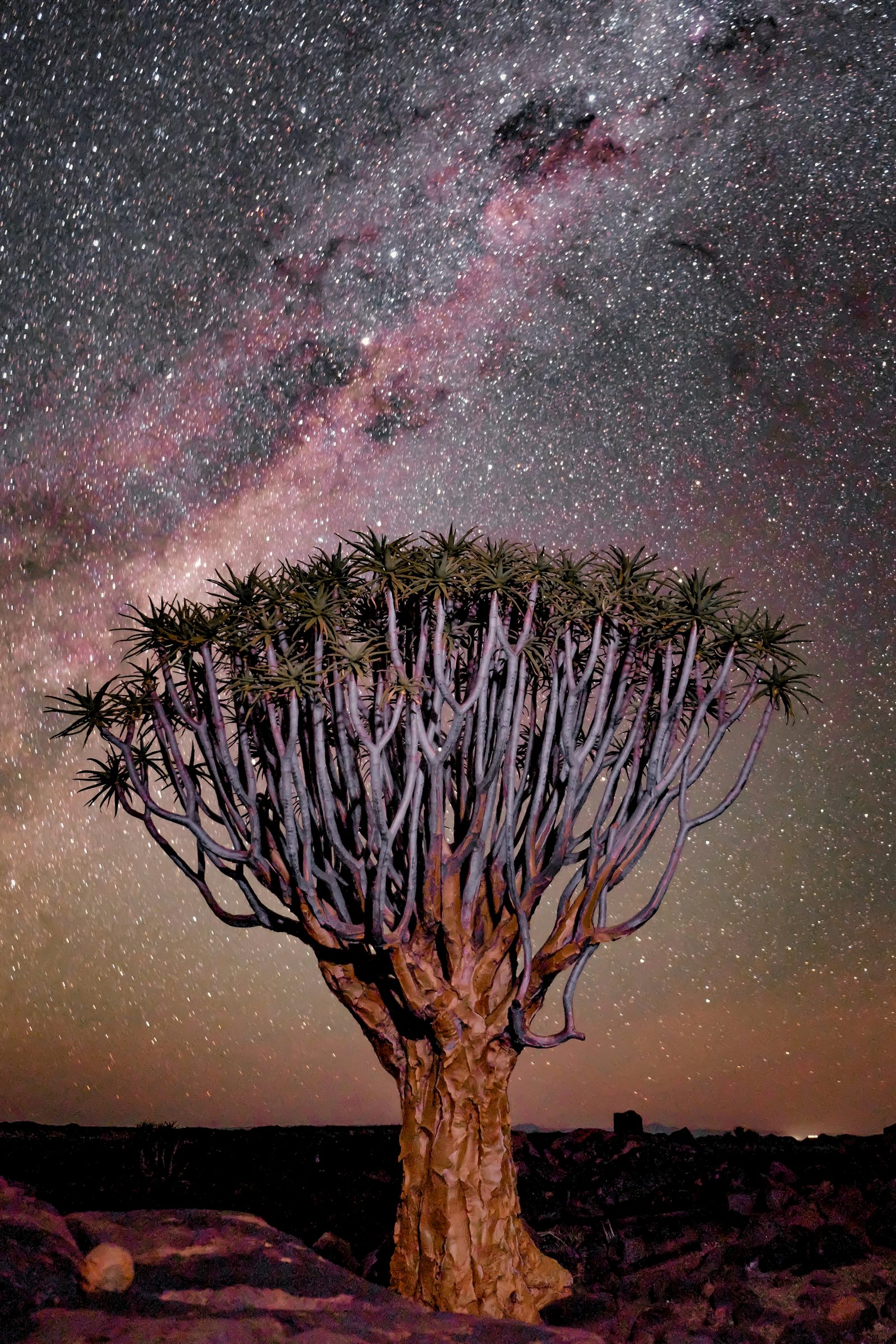 Namibia — imagine 5