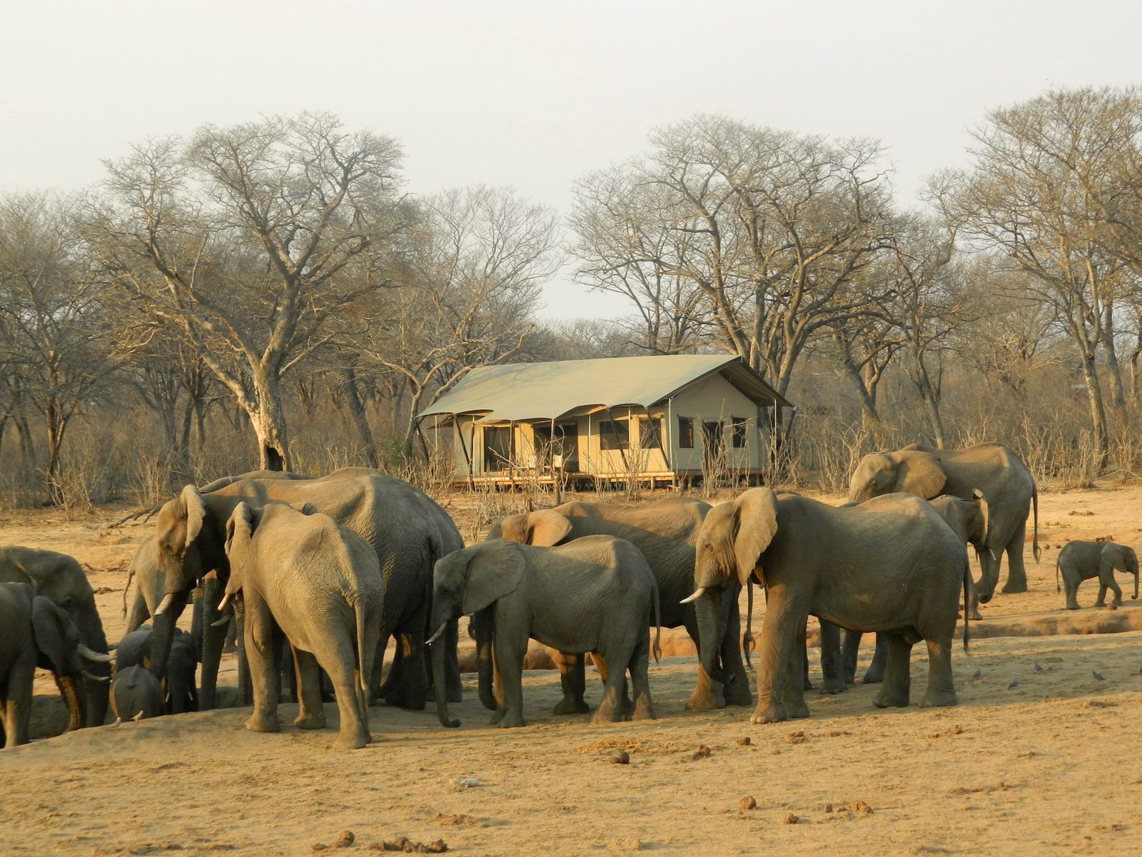 Onguma The Fort