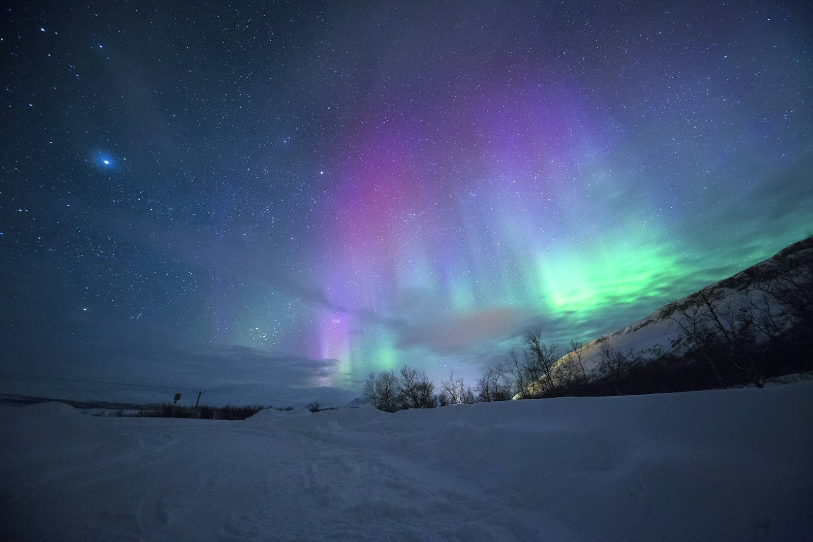 Northern Lights