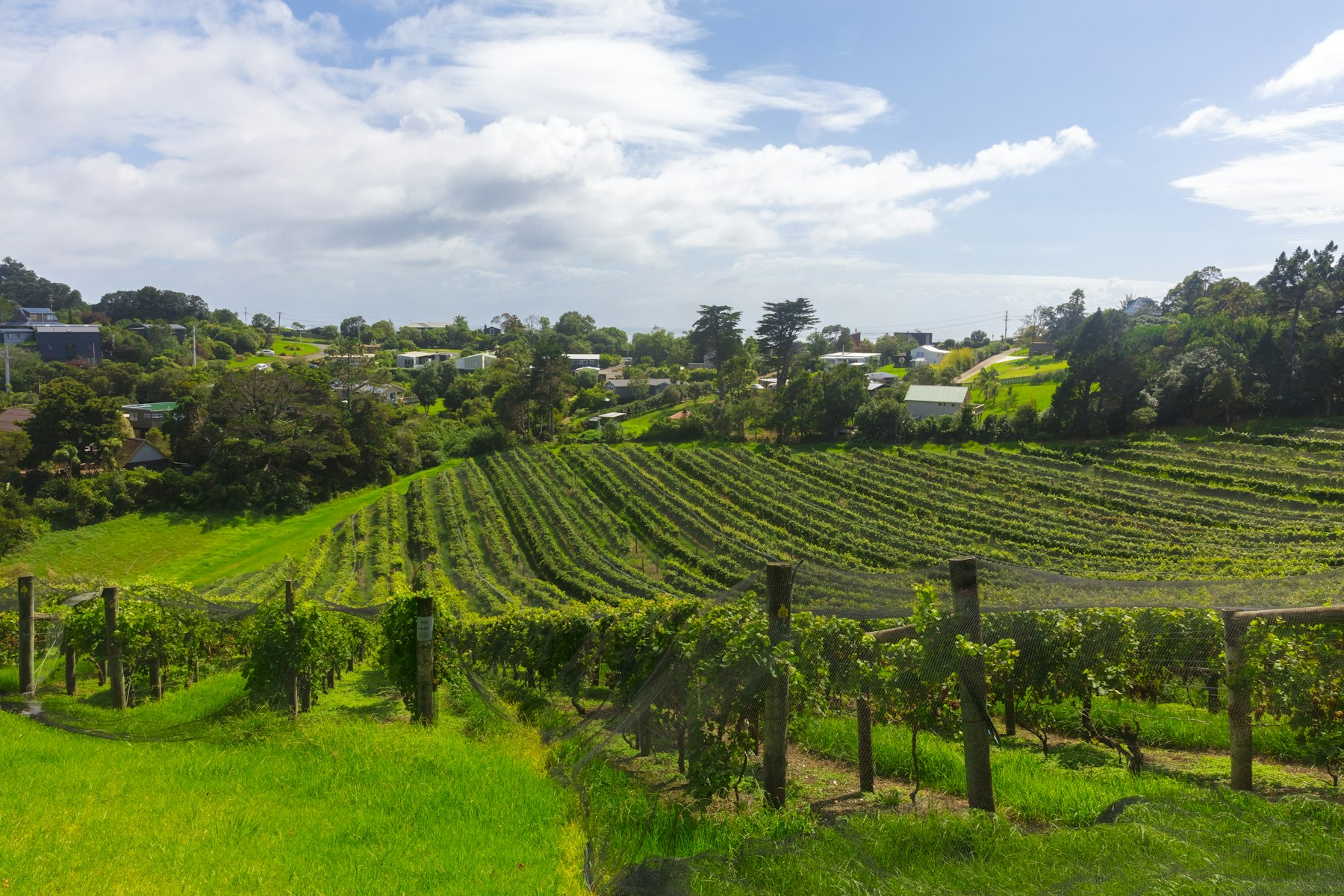 Gibbston Valley Winery