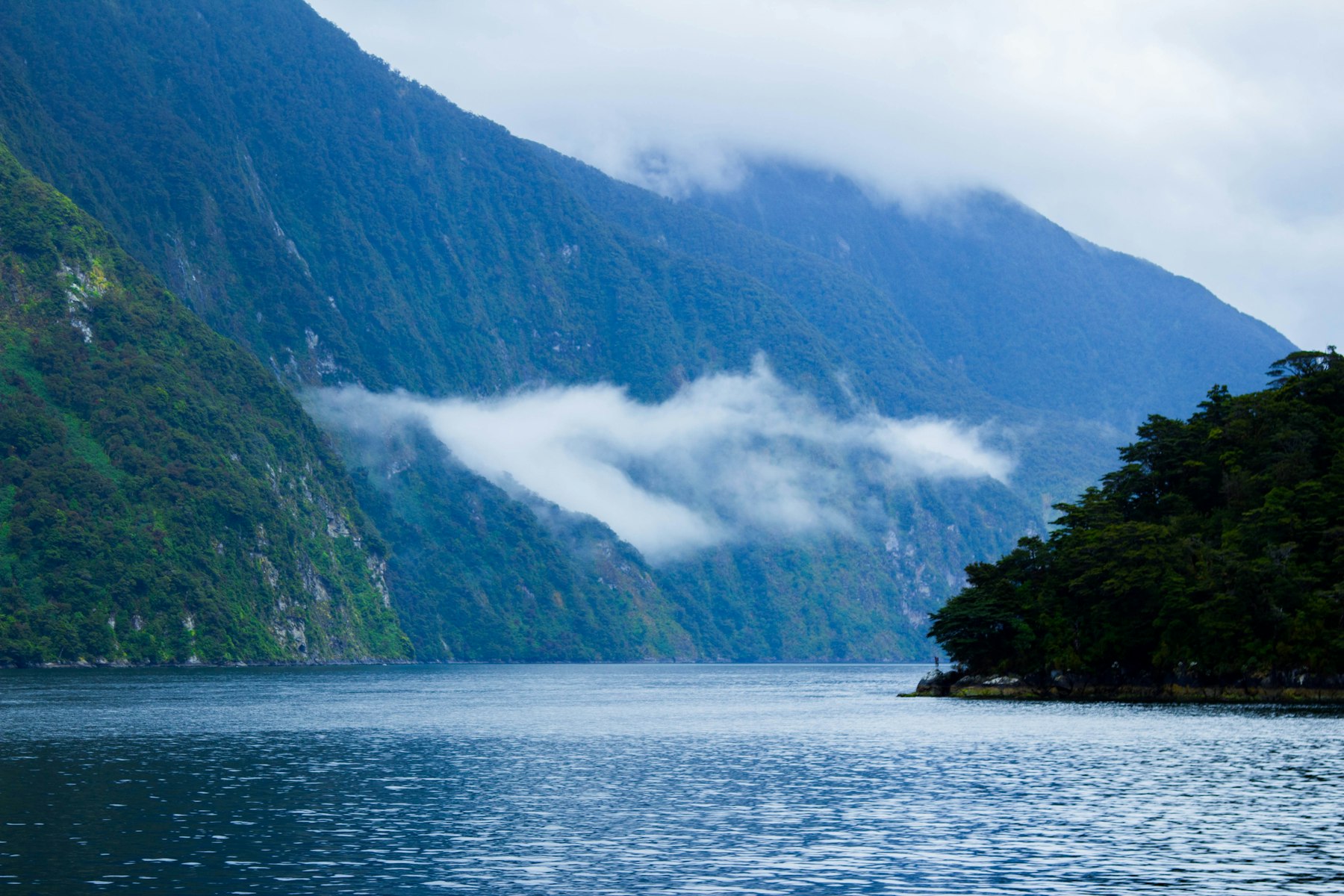Doubtful Sound Overnight Cruise