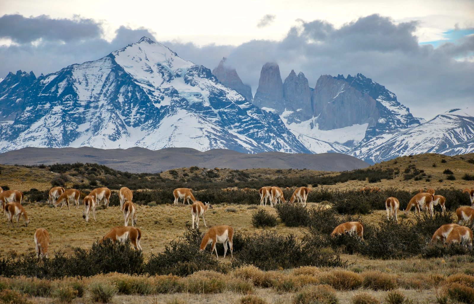 Patagonia — imagine 6