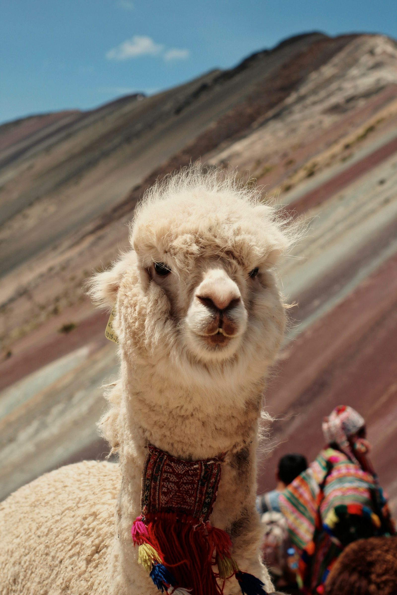 Peru — imagine 10