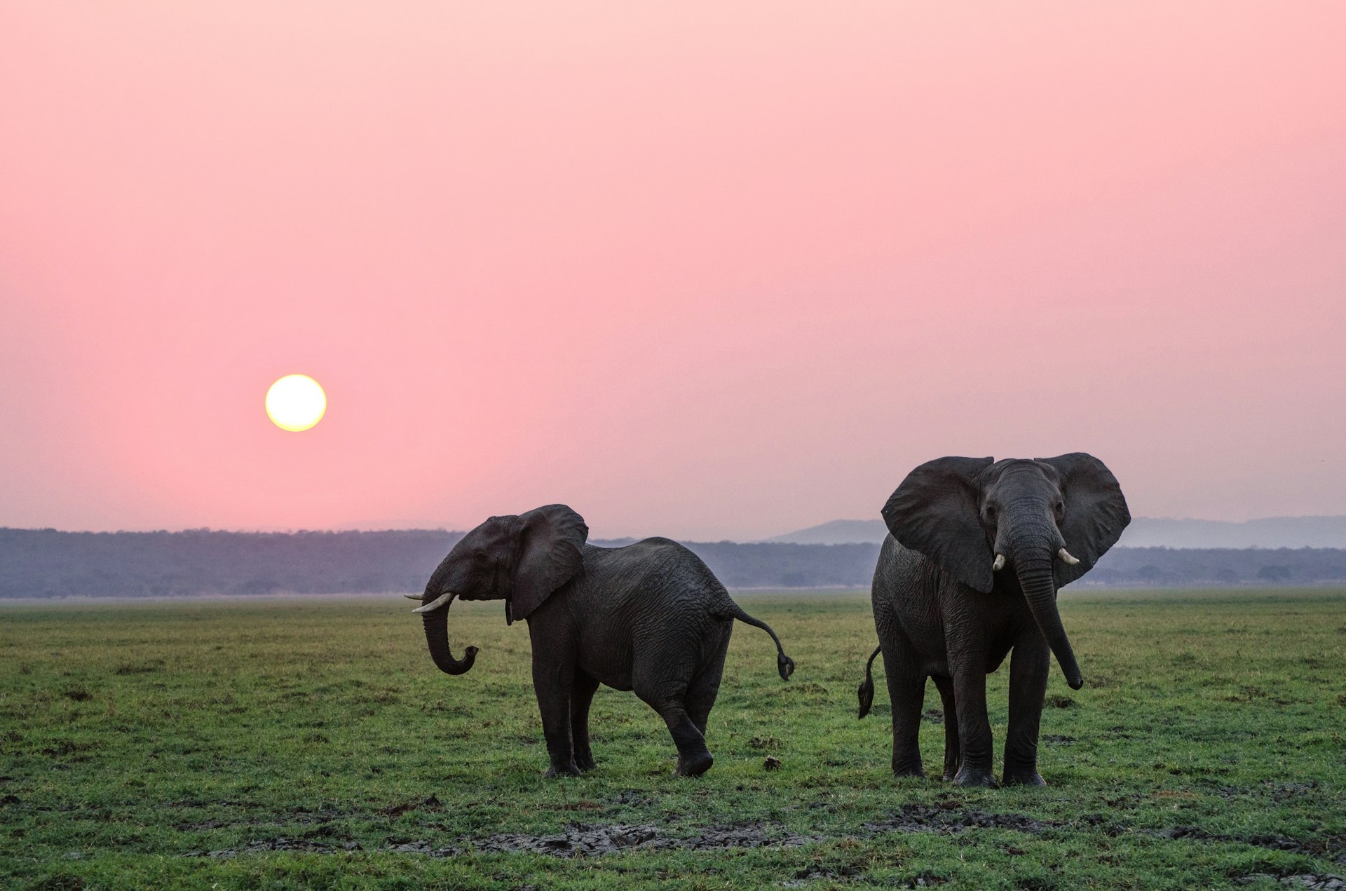Tanzania