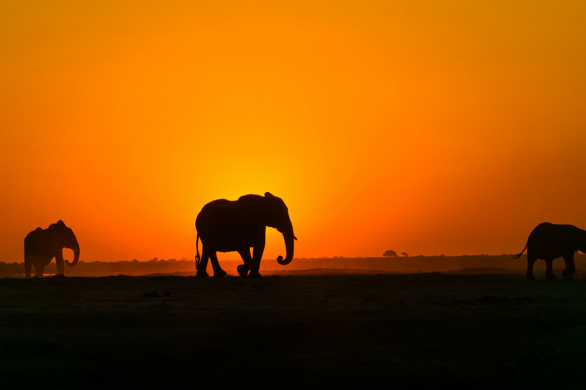 Tanzania la apus