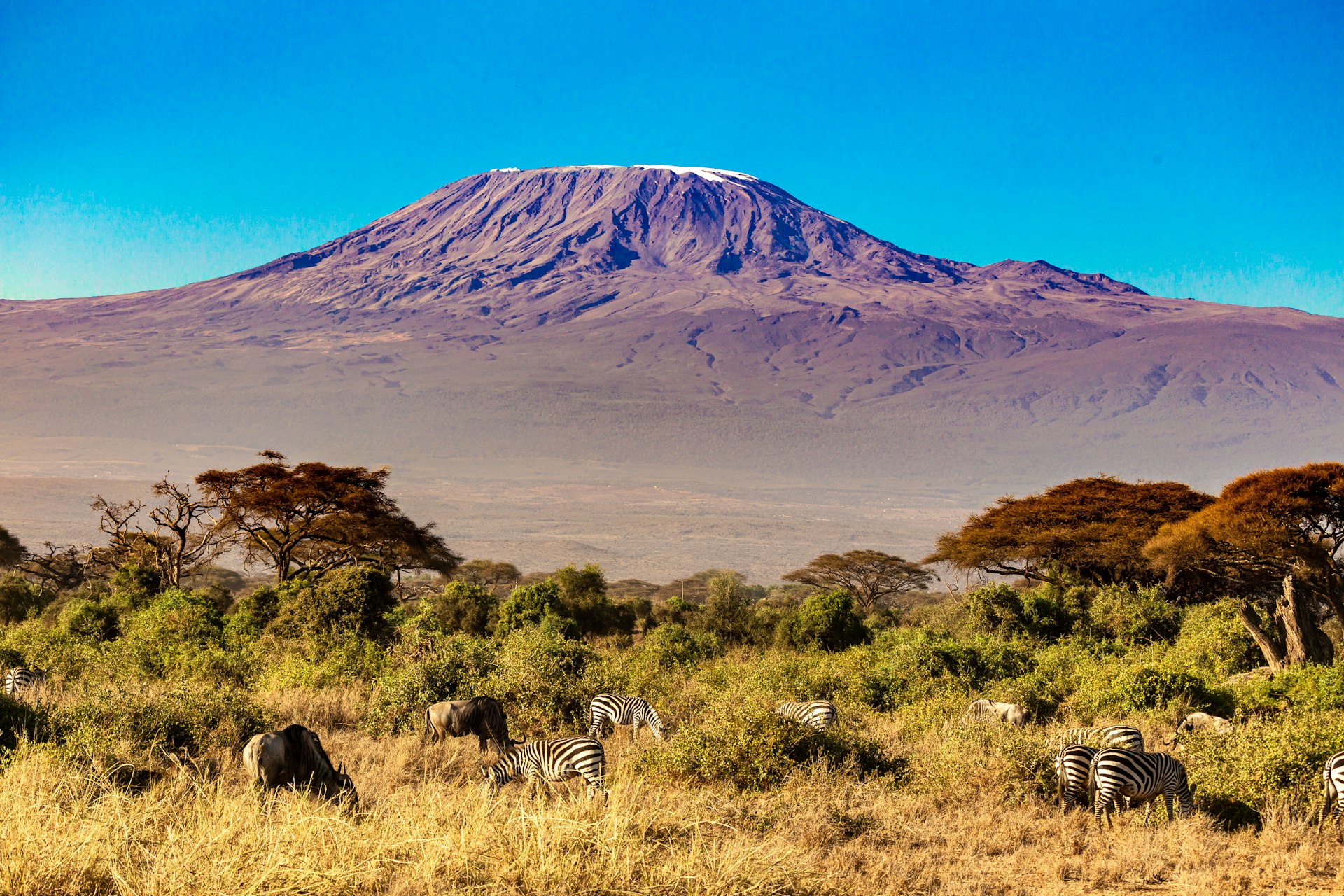 Mount Kilimanjaro viewpoints