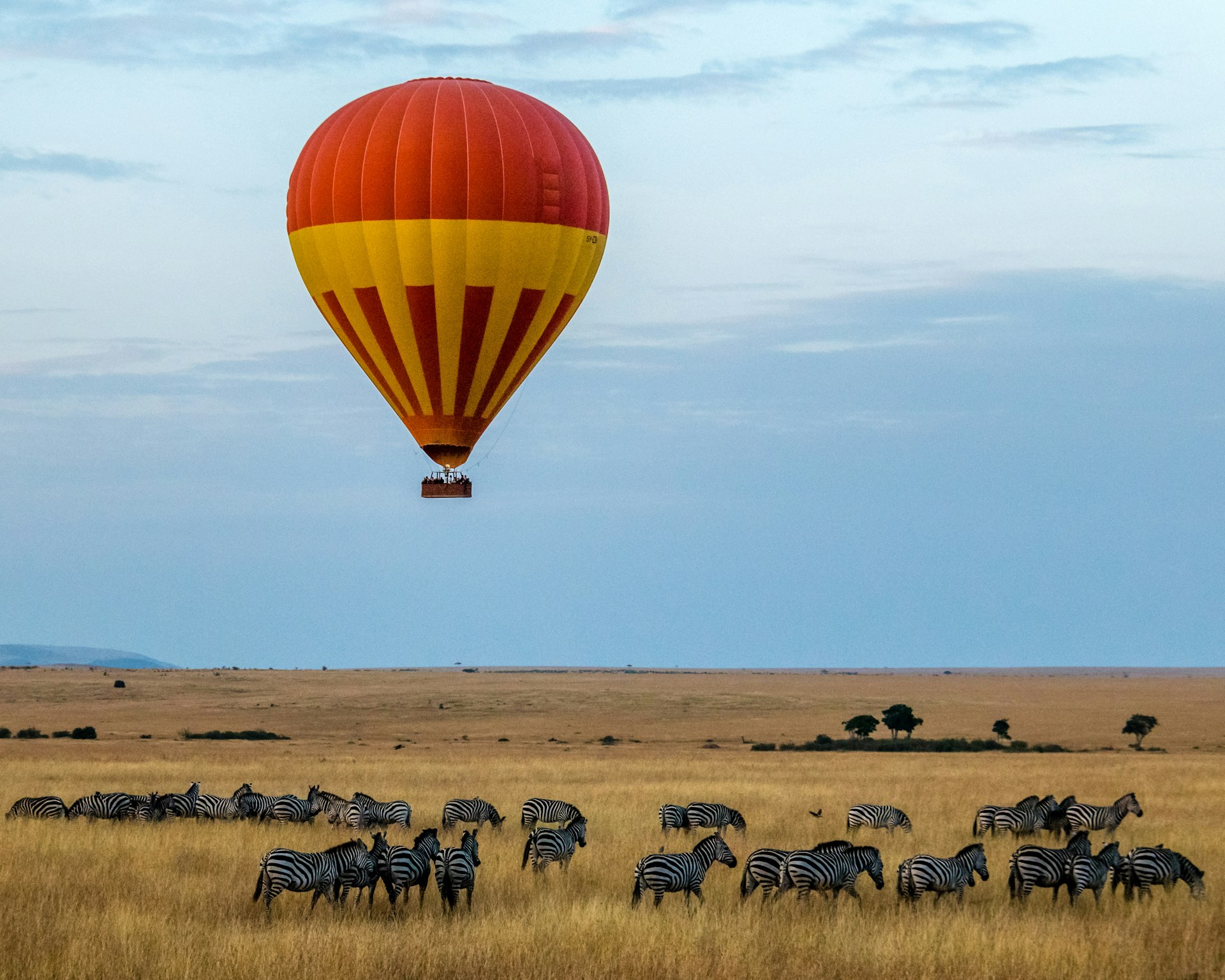 Hot Air Balloon Safari