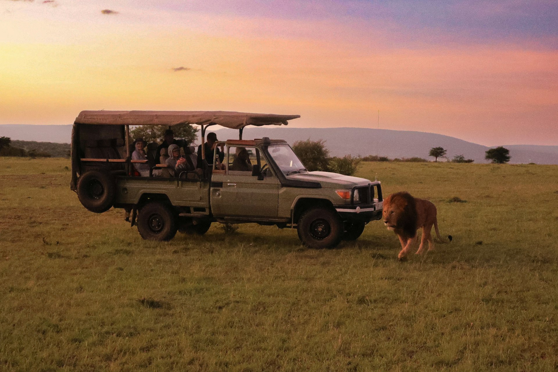 Game Drives