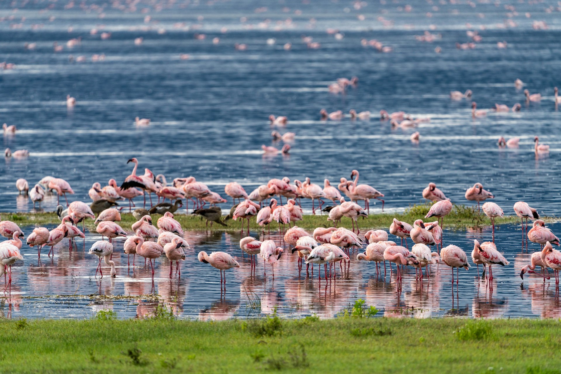 Tanzania — imagine 7
