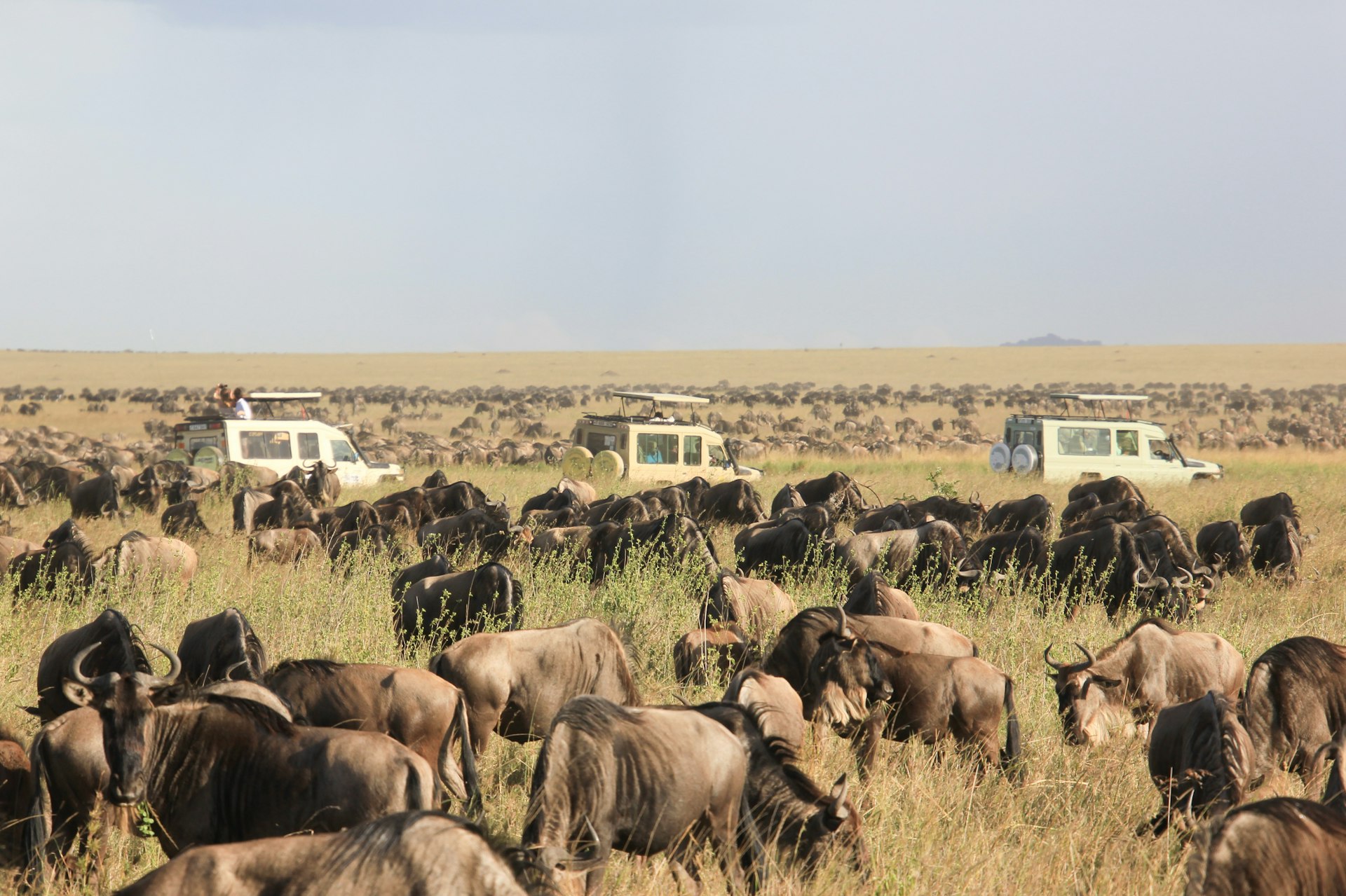 Tanzania — imagine 8