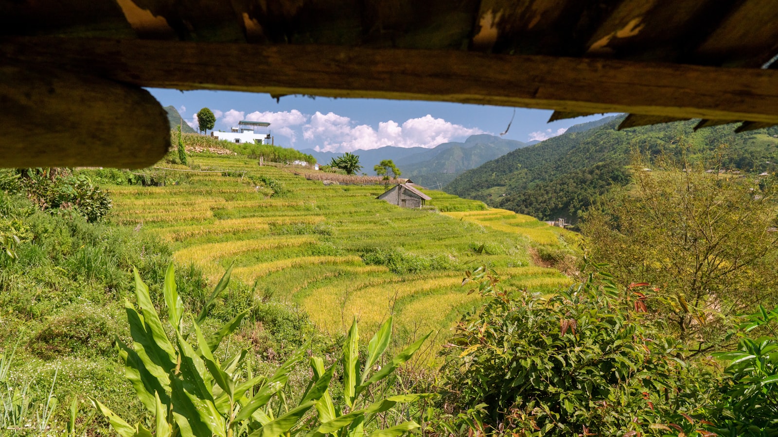 Vietnam — imagine 4