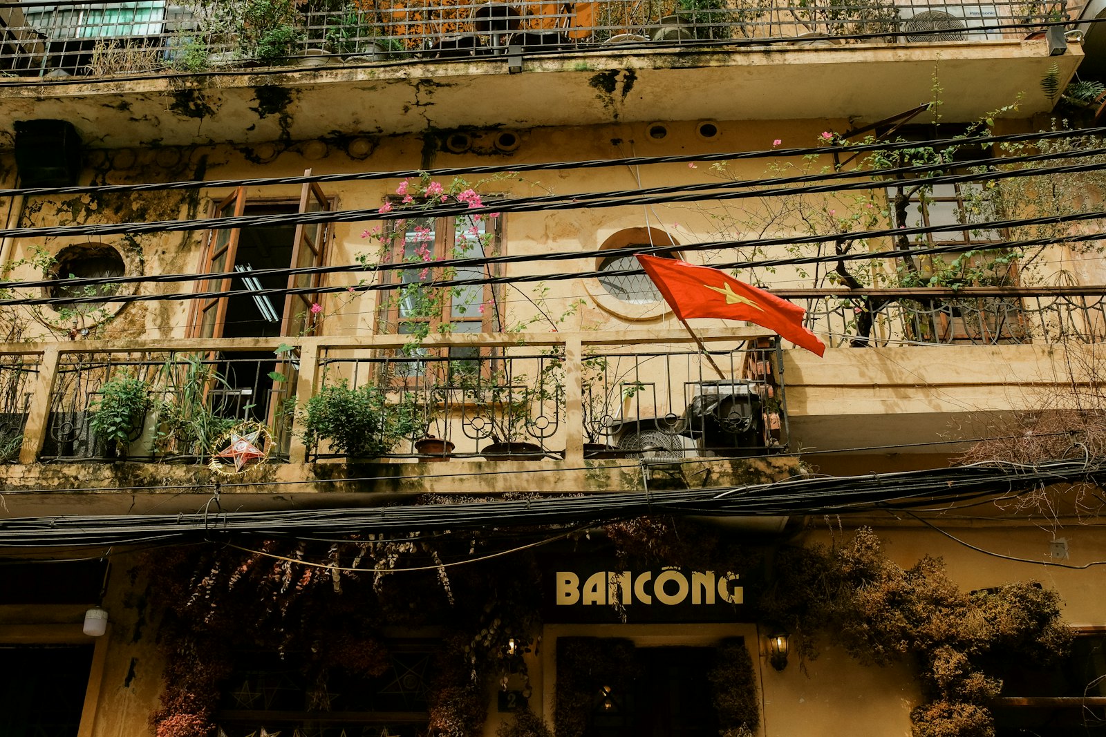Vietnam — imagine 6