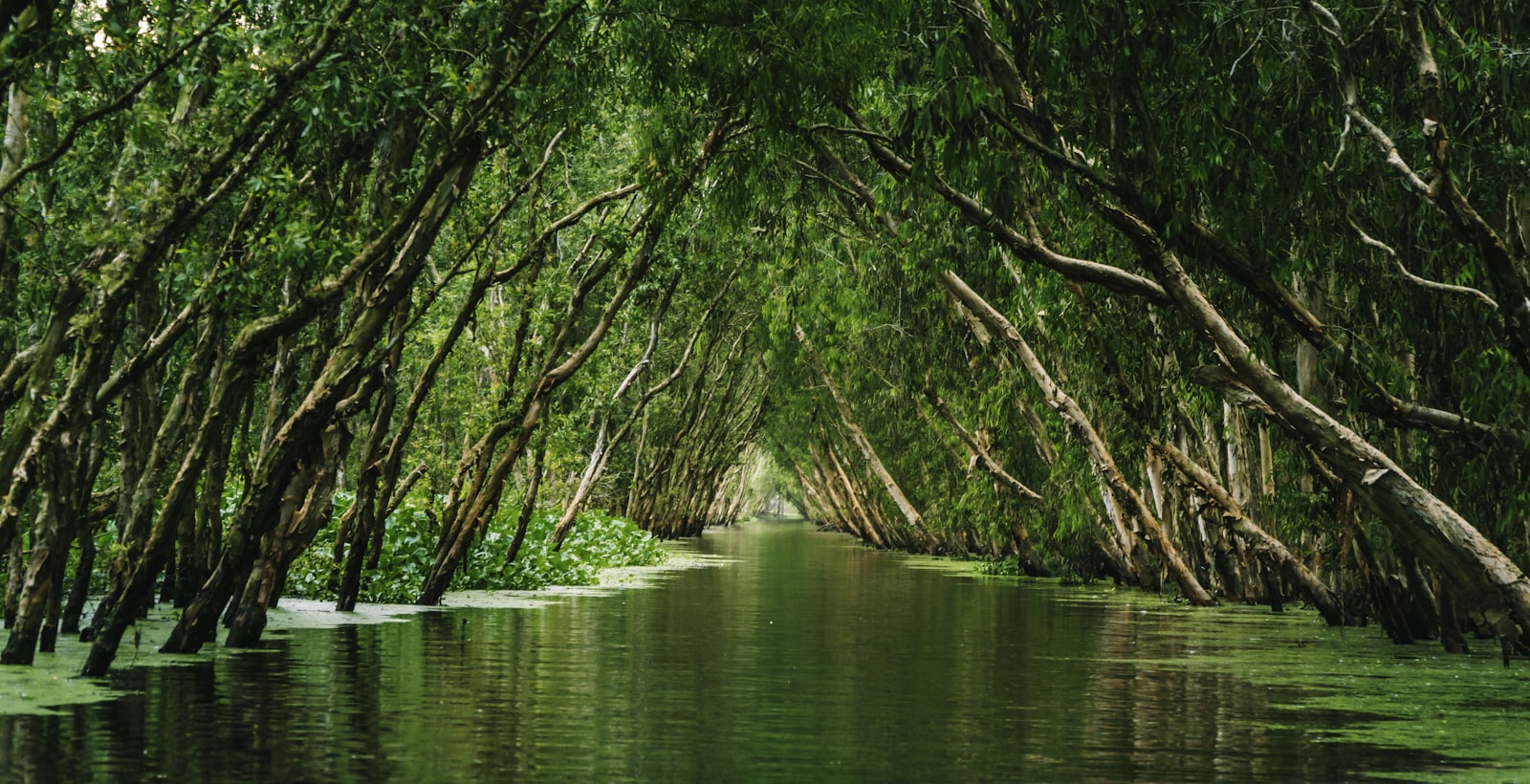Vietnam — imagine 7