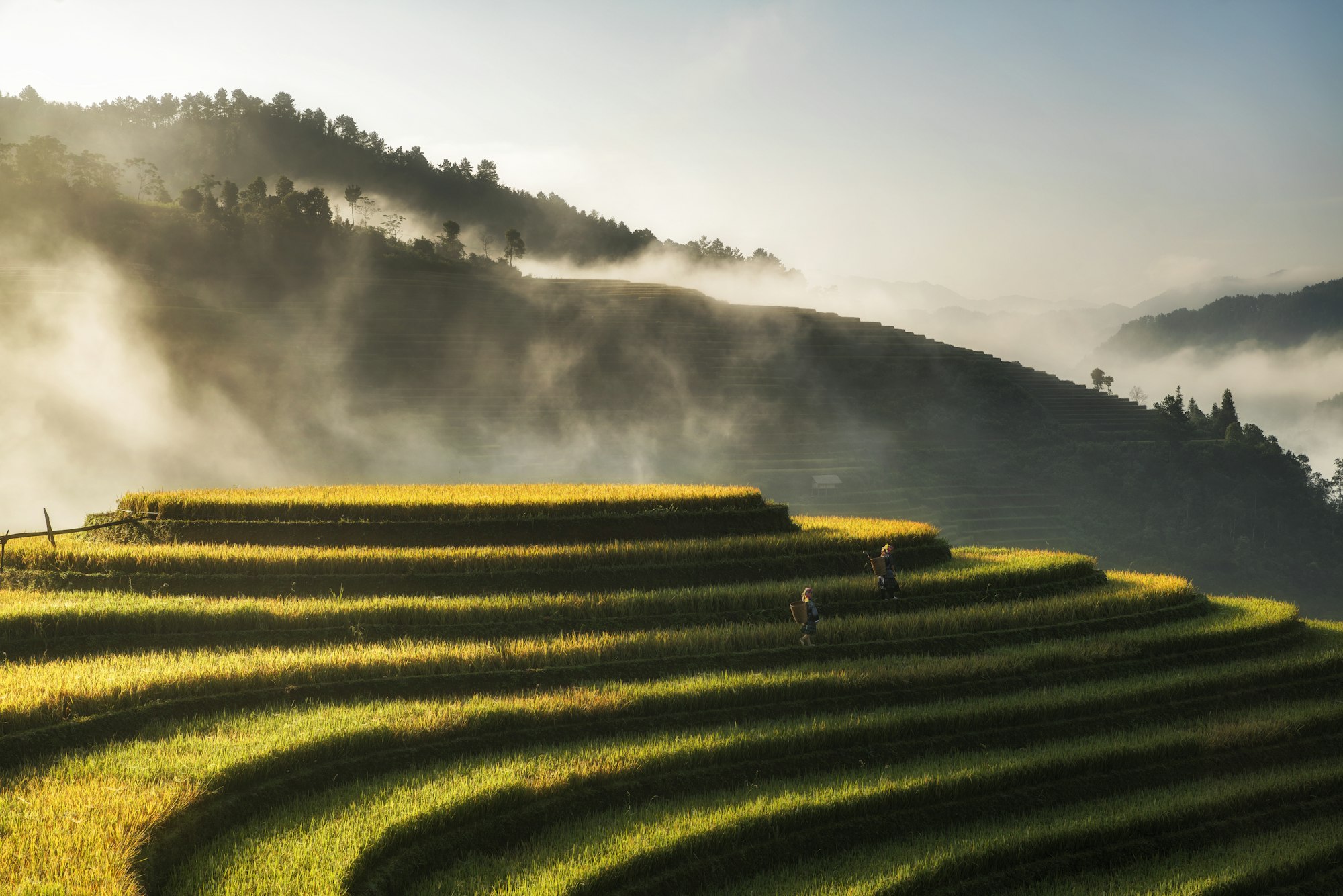 Vietnam — imagine 9