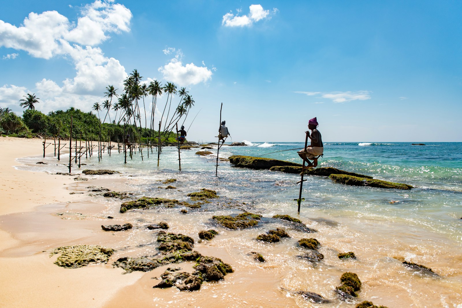 Coastă din Sri Lanka la ceasul dimineții