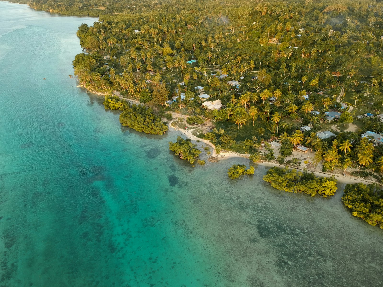 Vedere aeriană cu vegetație și apă în Vanuatu