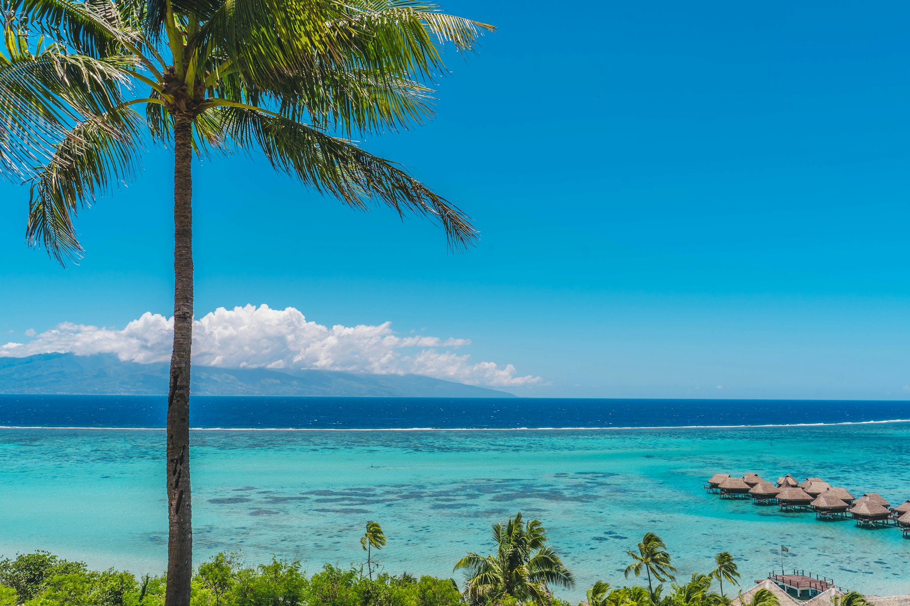 Plajă tropicală cu palmieri și apă cristalină